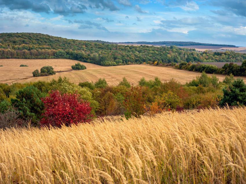 Autumn landscape of agricultural fields at the the 2023 11 27 05 31 19 utc