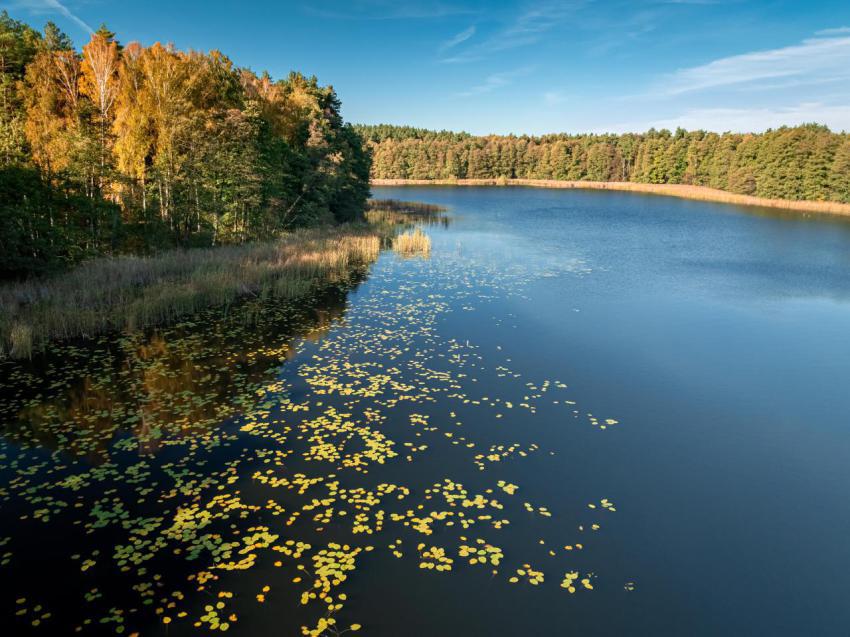 Lake and forest in autumn aerial view of poland 2024 11 19 19 33 41 utc