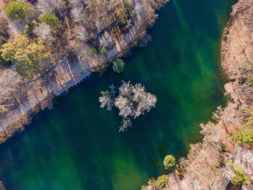 Aerial shot of white autumn trees in the lake in a 2023 11 27 04 49 59 utc