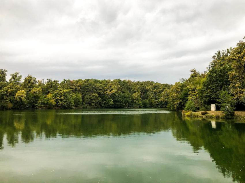 Green lake 2023 11 27 05 31 05 utc