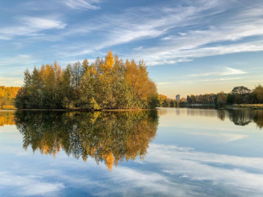 Island in the lake with trees in autumn colors und 2023 11 27 04 57 12 utc
