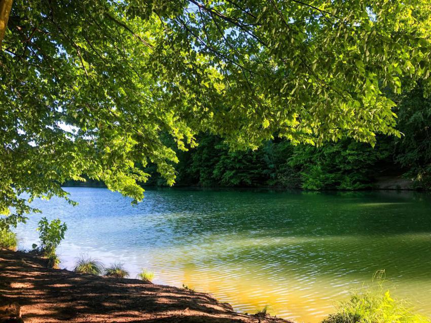 Lake in forest 2023 11 27 05 24 34 utc