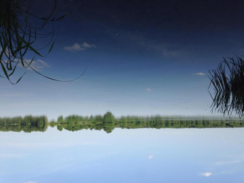 Reflection never lies 2023 11 27 05 16 02 utc