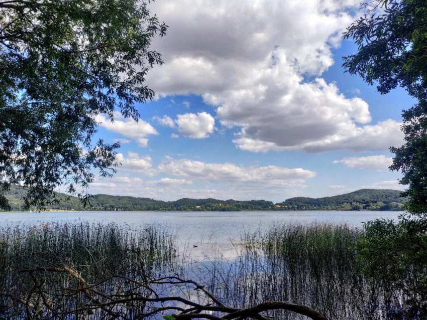 Scenic lake with trees and clouds in the sky 2024 06 04 02 56 21 utc