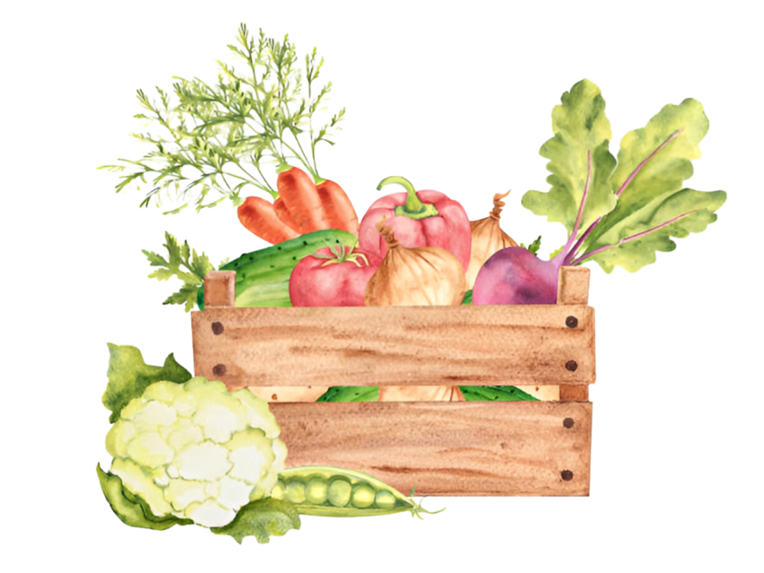 Vegetables png file free download (frefile com) 111