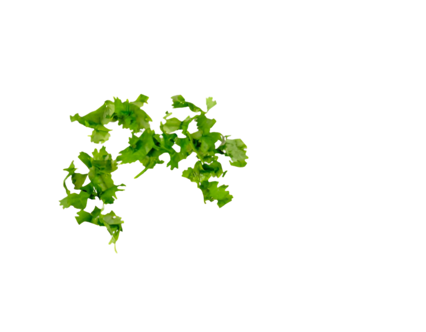 Vegetables png file free download (frefile com) 133