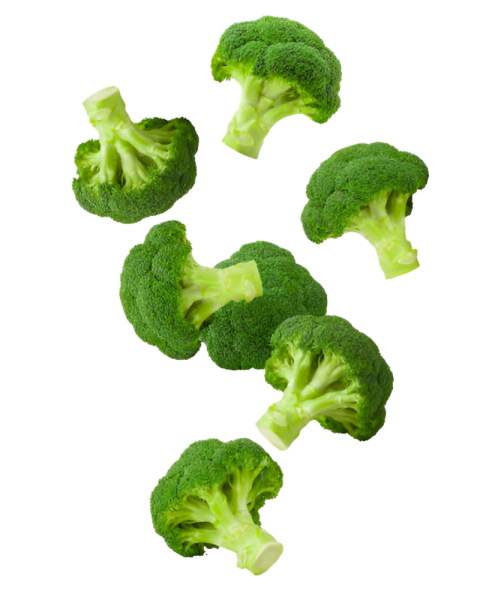 Vegetables png file free download (frefile com) 115