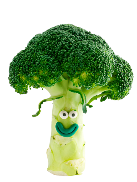 Vegetables png file free download (frefile com) 37