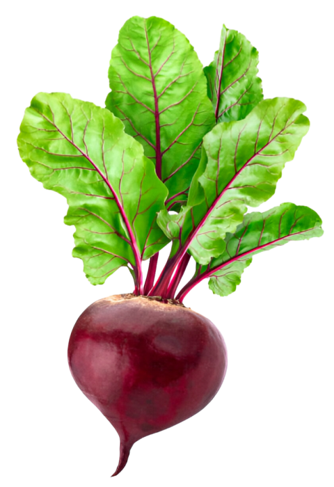 Vegetables png file free download (frefile com) 198