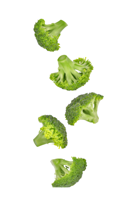 Vegetables png file free download (frefile com) 69