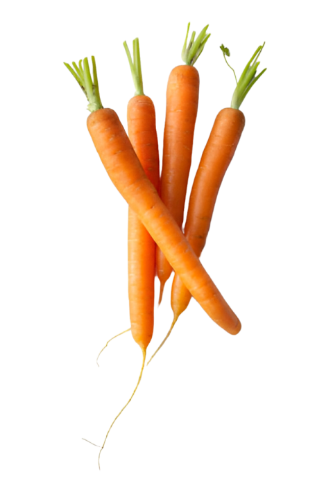 Vegetables png file free download (frefile com) 126