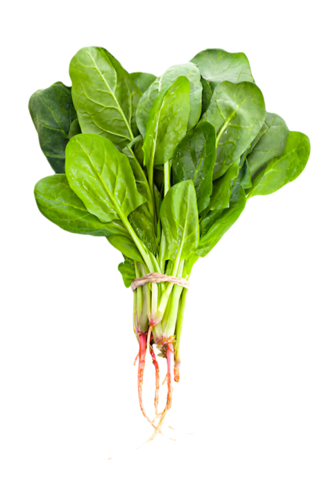 Vegetables png file free download (frefile com) 120