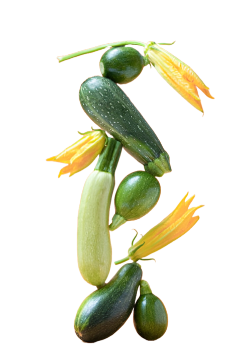 Vegetables png file free download (frefile com) 95