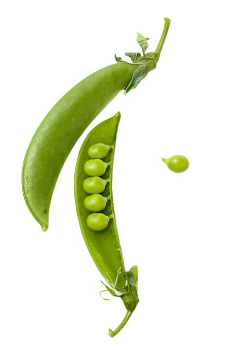 Vegetables png file free download (frefile com) 94