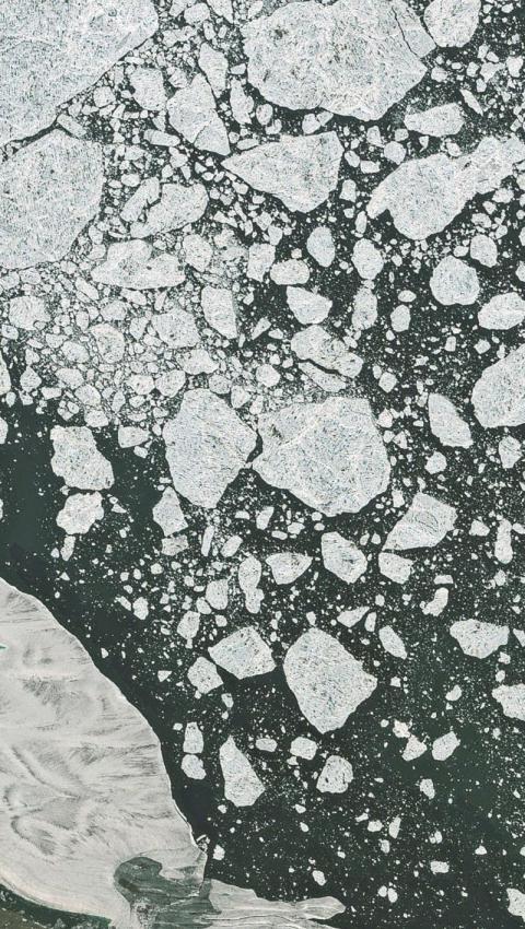 Phone Wallpapers (27)
