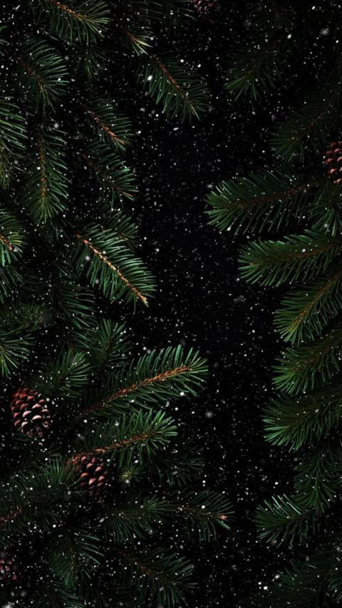 Phone Wallpaper (40)