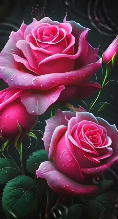 Phone Wallpaper (158)
