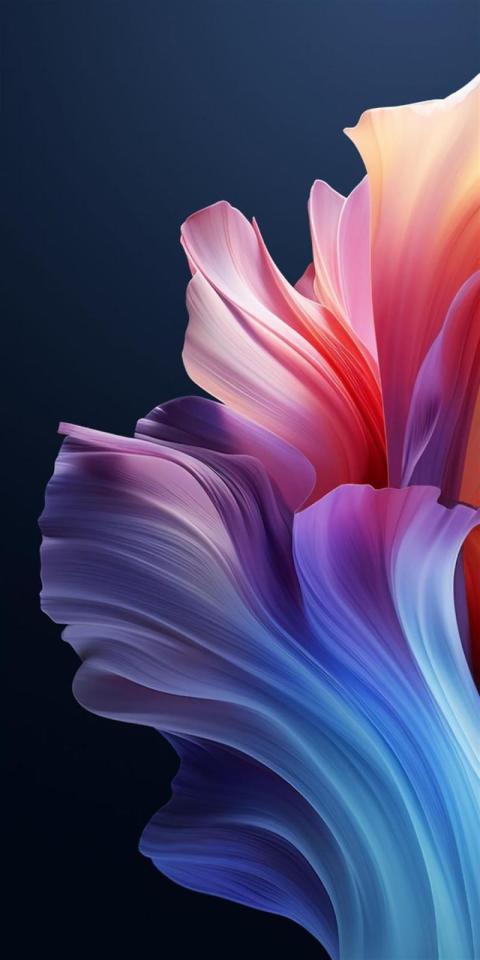 Phone Wallpaper (572)