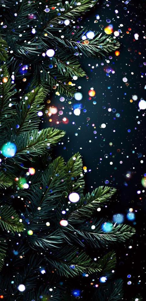 Phone Wallpaper (616)