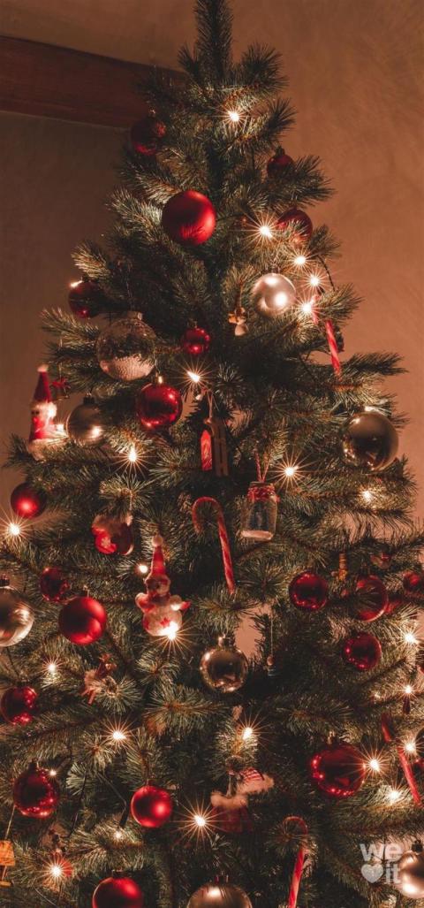 Phone Wallpaper (208)
