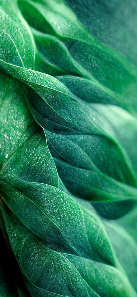 Phone Wallpaper (274)