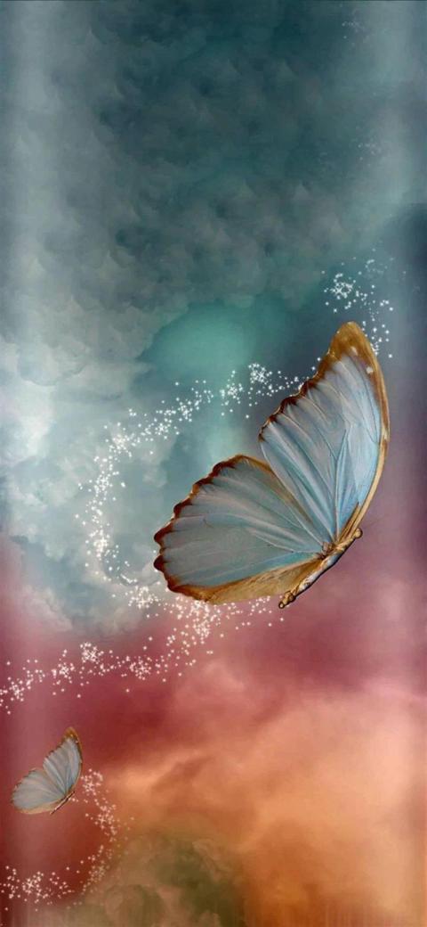 Phone Wallpaper (497)