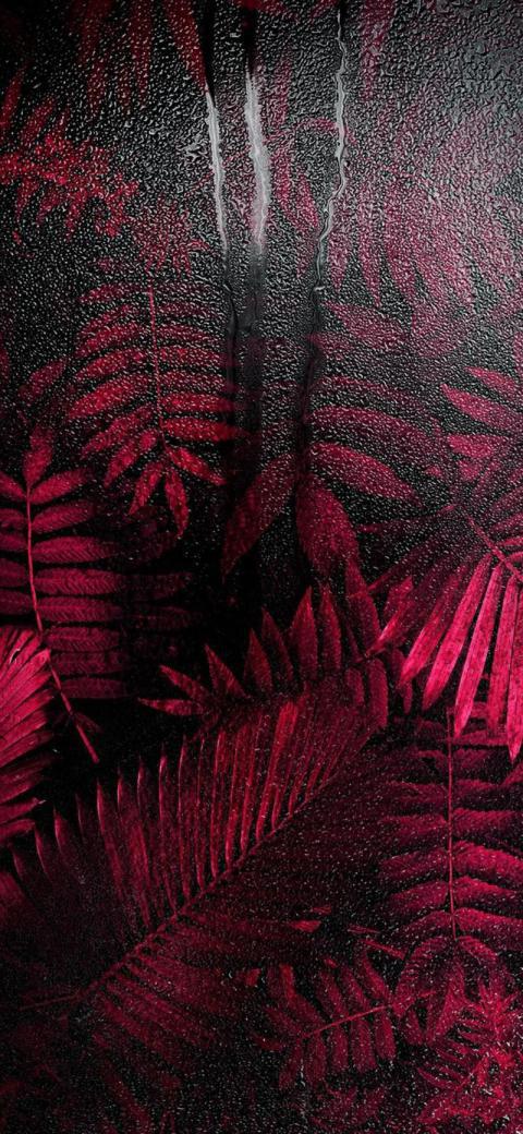 Phone Wallpaper (549)