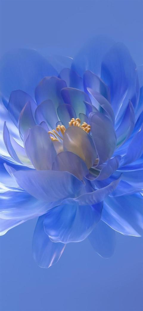 Phone Wallpaper (566)