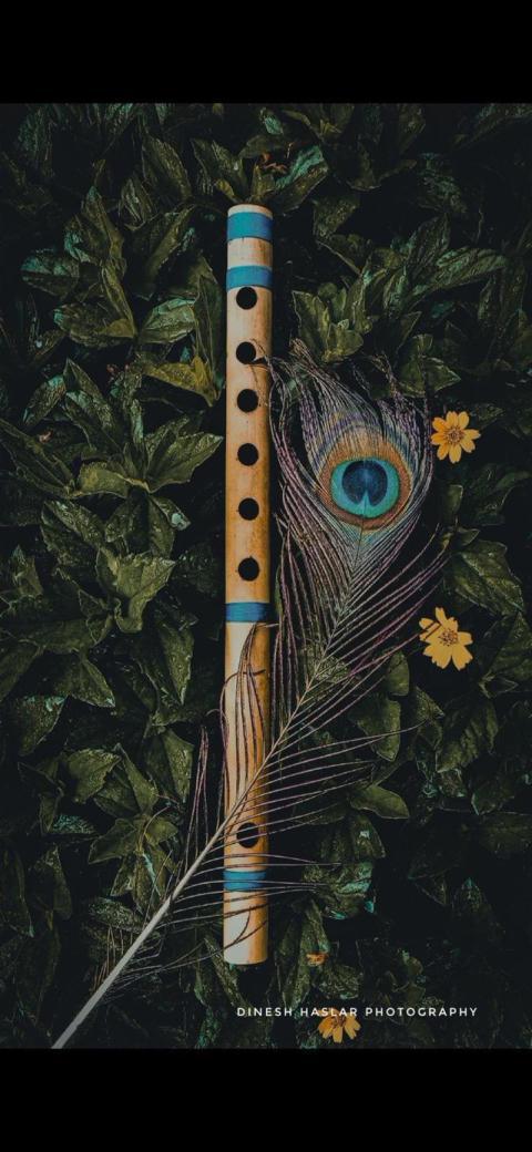 Phone Wallpaper (582)