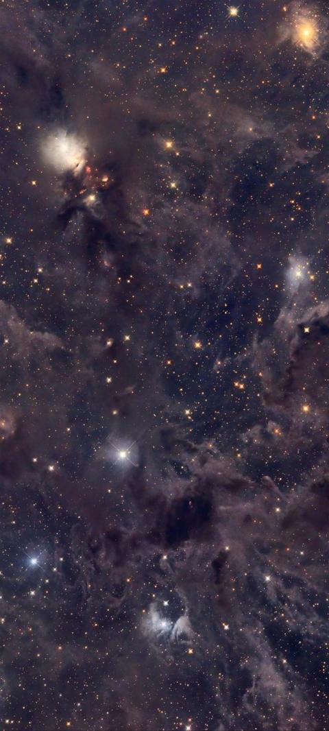 Phone Wallpaper (695)