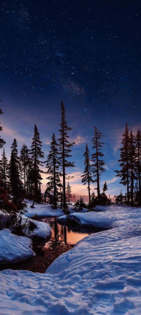Phone Wallpaper (737)