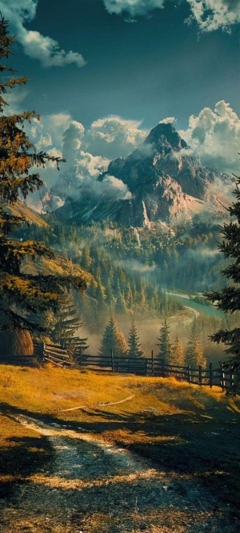 Phone Wallpaper (687)