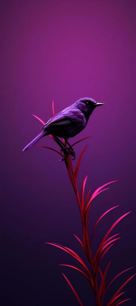 Phone Wallpaper (389)