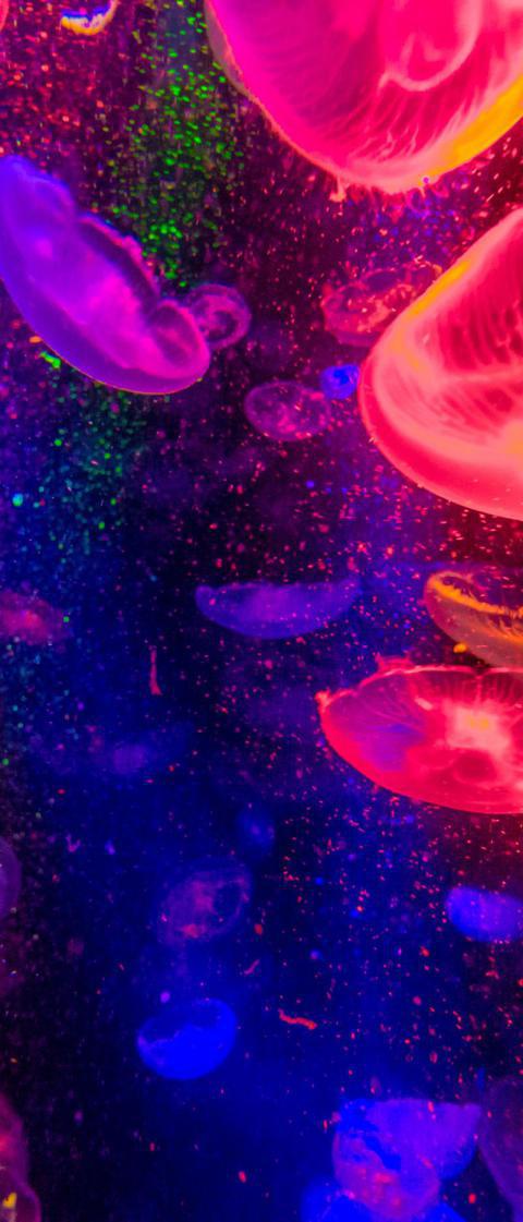 Phone Wallpapers (34)