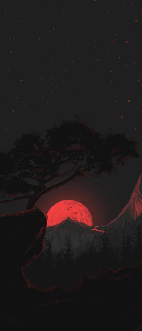 Phone Wallpapers (203)