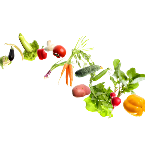 Vegetables png file free download (frefile com) 108