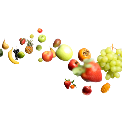 Vegetables png file free download (frefile com) 99
