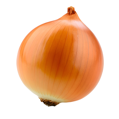 File 2025 01 19T172312 621