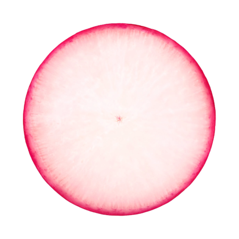 File 2025 01 19T171252 516
