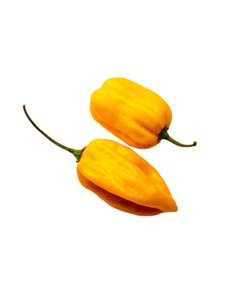 Vegetables png file free download (frefile com) 3