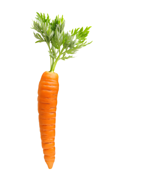 Vegetables png file free download (frefile com) 199