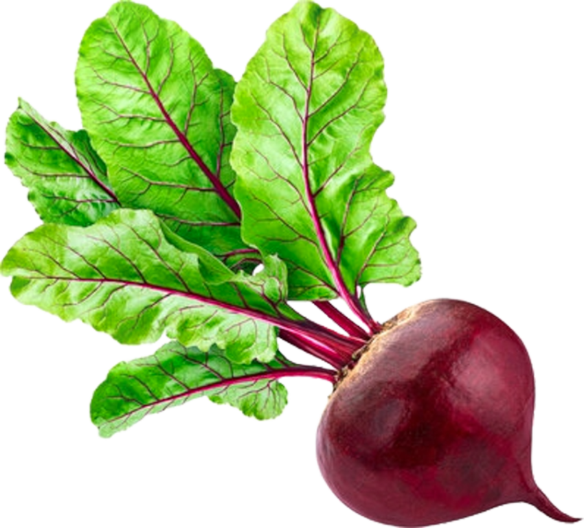 Vegetables png file free download (frefile com) 212