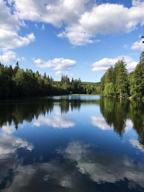 Beautiful lake 2023 11 27 05 24 16 utc