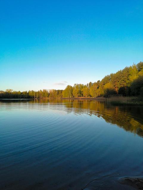 Early morning on the forest lake 2024 05 30 20 31 37 utc