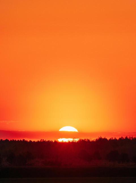 Big sun over horizon woods or forest dark silhoue 2023 11 27 04 56 42 utc