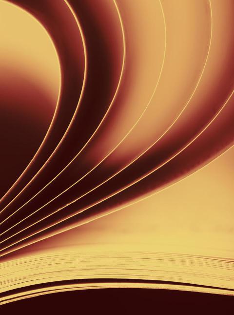 Book pages 2024 11 27 17 20 12 utc