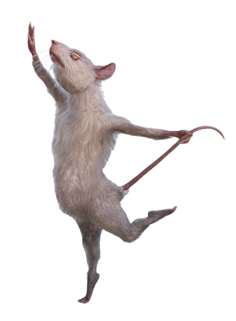 Mouse 6865851