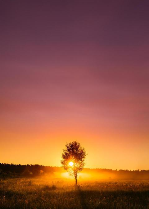 Sunset sunrise in misty autumn meadow landscape wi 2023 11 27 05 35 58 utc