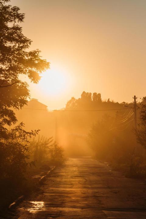 Beautiful orange sunrise above trees and road 2024 11 17 09 32 22 utc