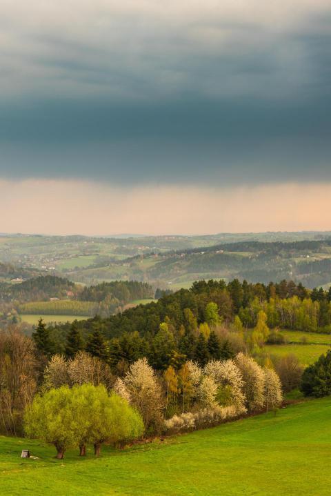Colorful blooming trees in spring season at rural 2023 11 27 05 12 46 utc